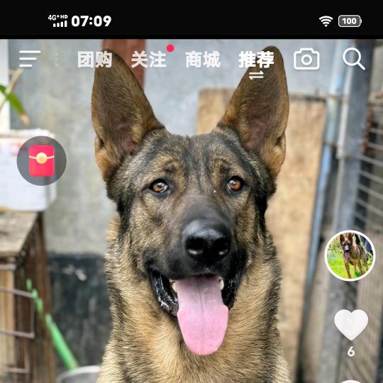 顺奶几