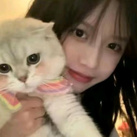 人生如梦.
