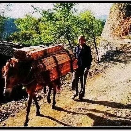 茶马古道  幸福客栈