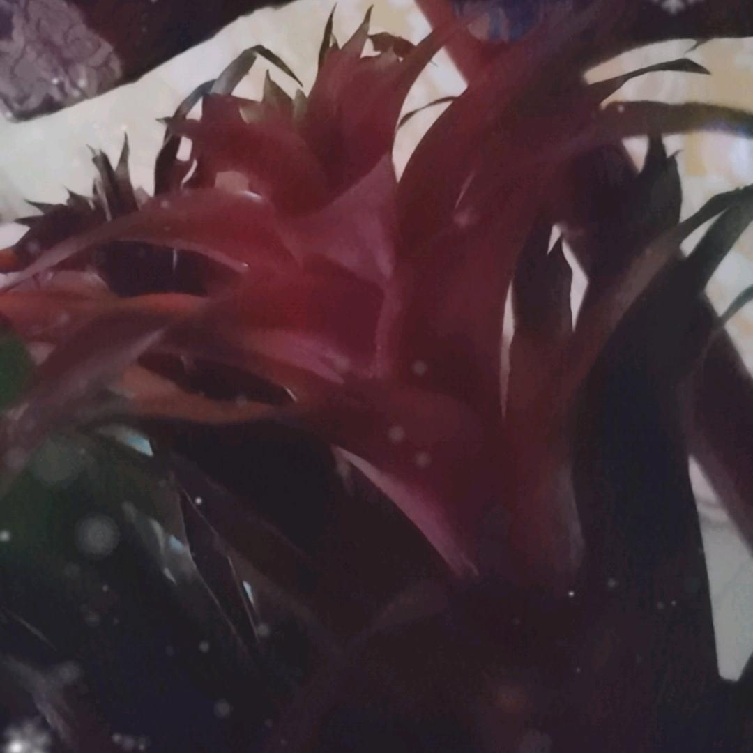 2025顺顺利利，家人平安健康快乐