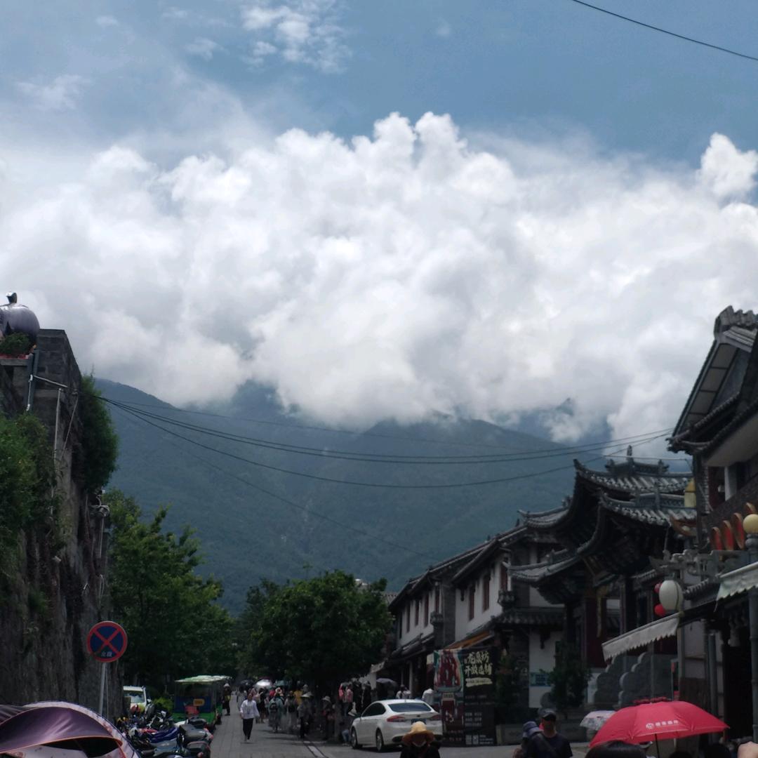 青岛晓哥手工鸟笼