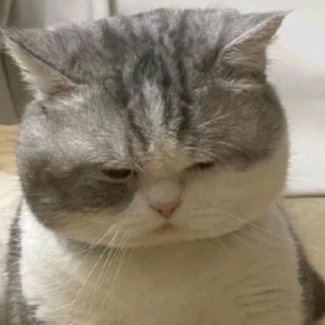 云曦