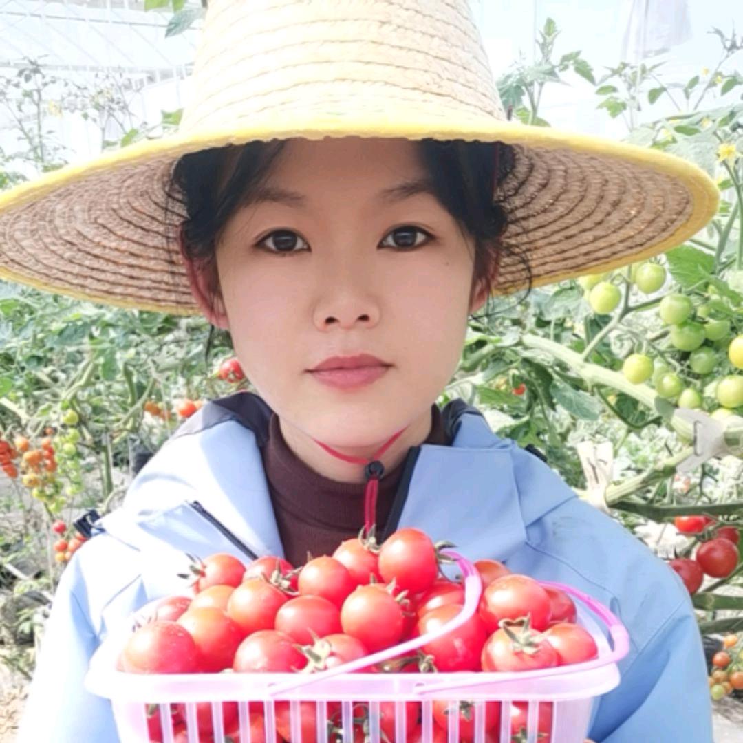 @邹板娘（首播午2:40）