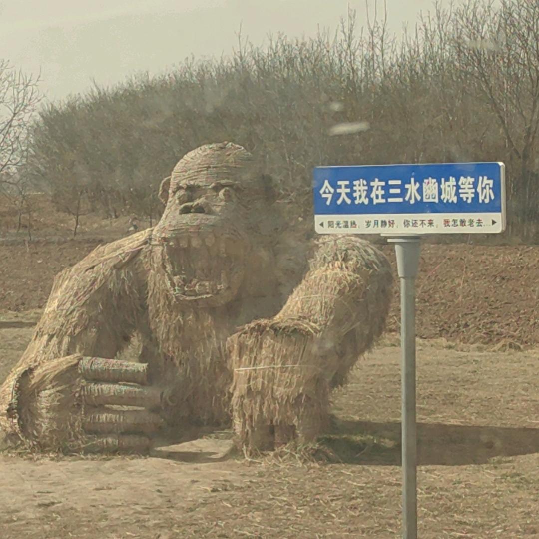 魏|什么