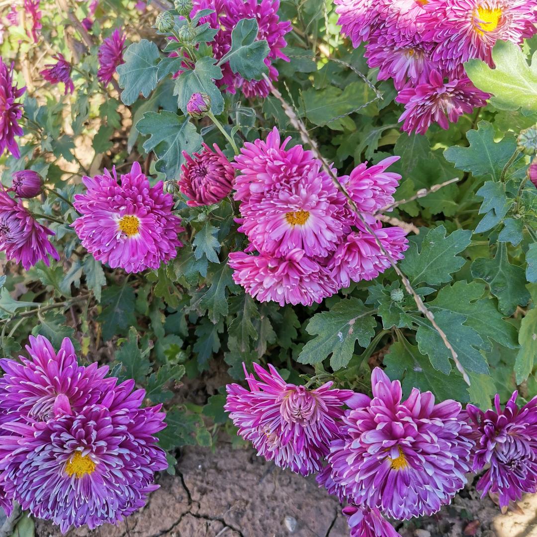 厚德载物，正能量。