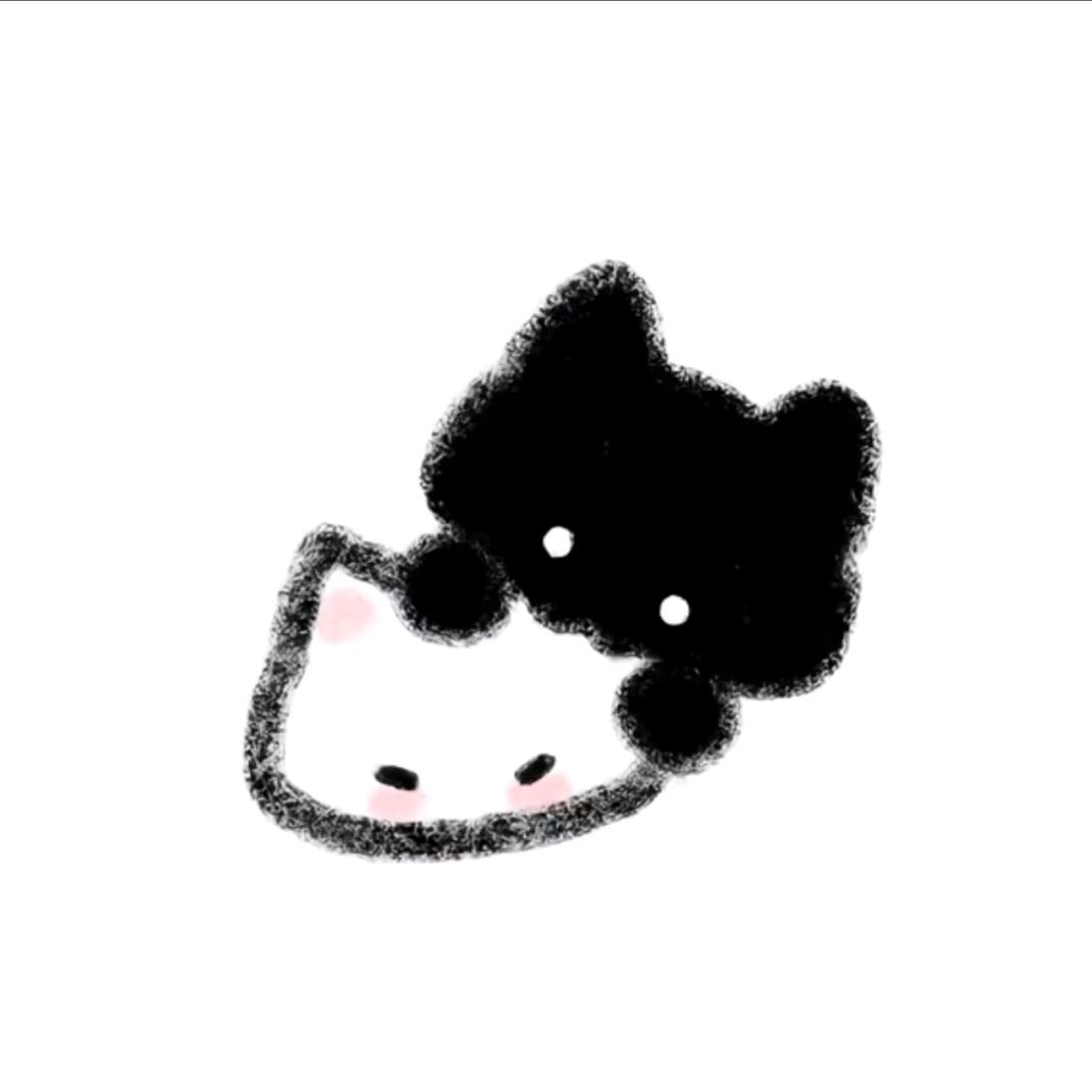 会飞的大王.