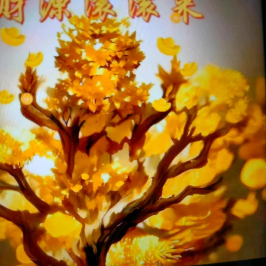 伤不起