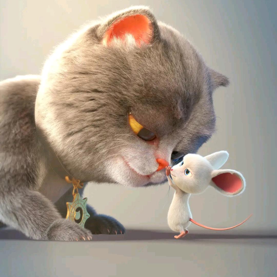 尐۶•͈⚇•͈ა尗