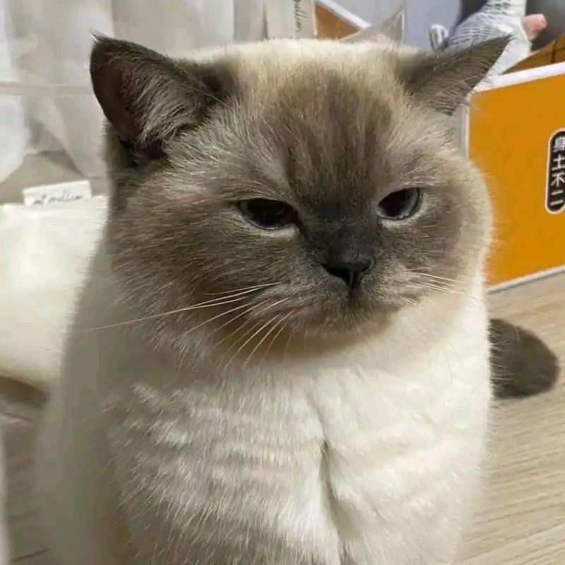 老年人56（三角洲行动）