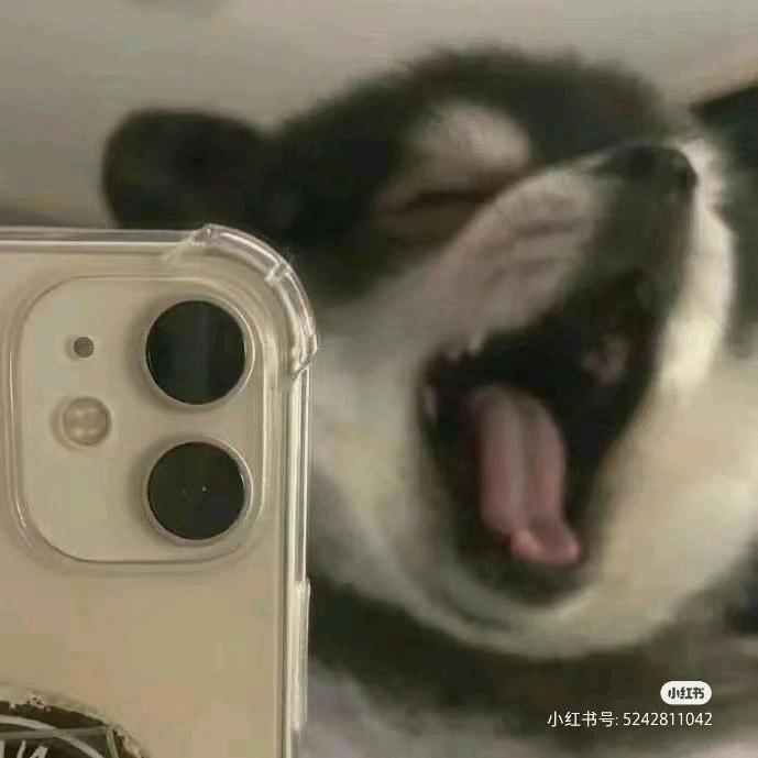 超然的小店（新日电动车）