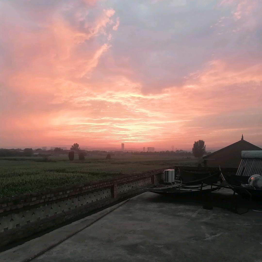 我若盛开便是彩虹🌈