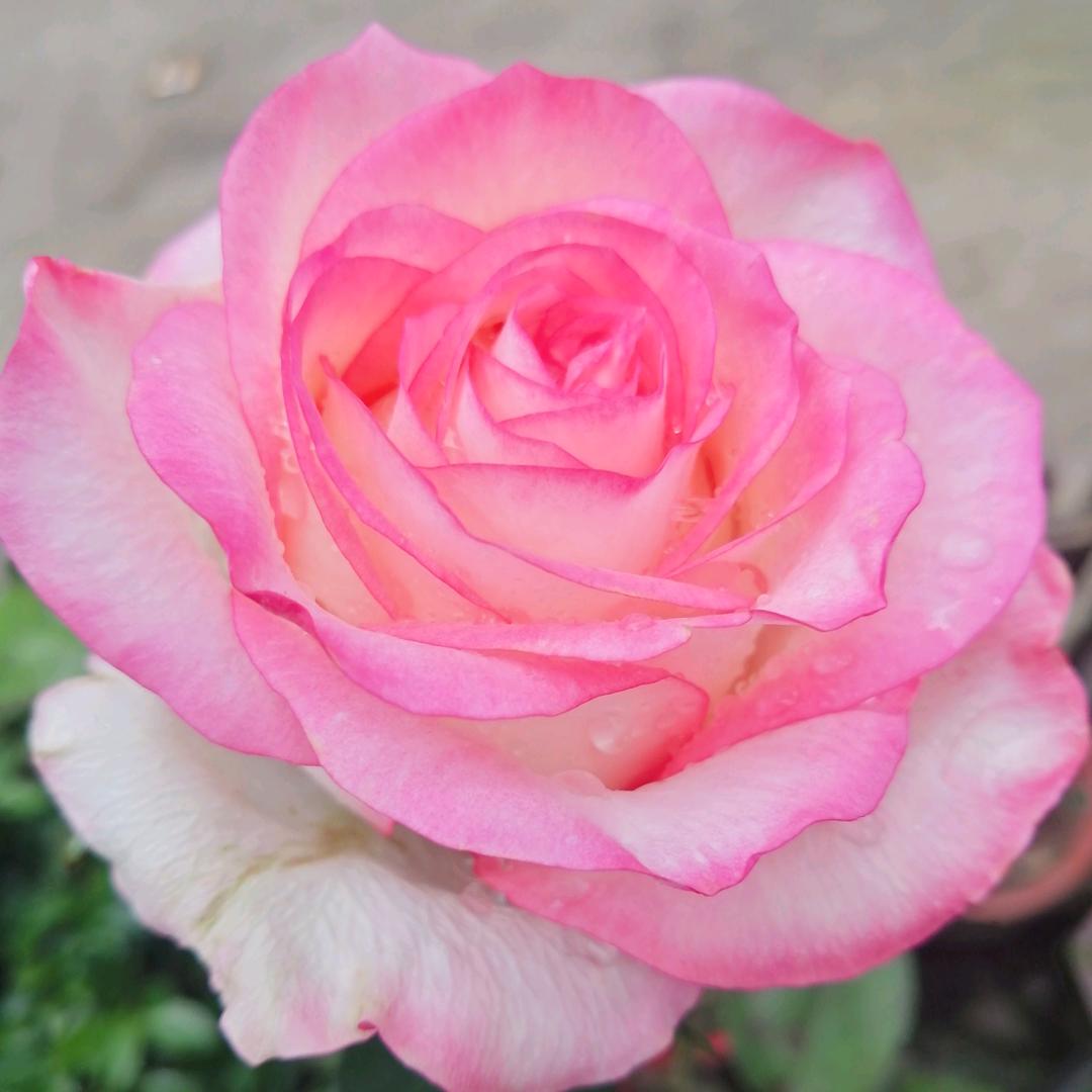 文成县科文电脑店