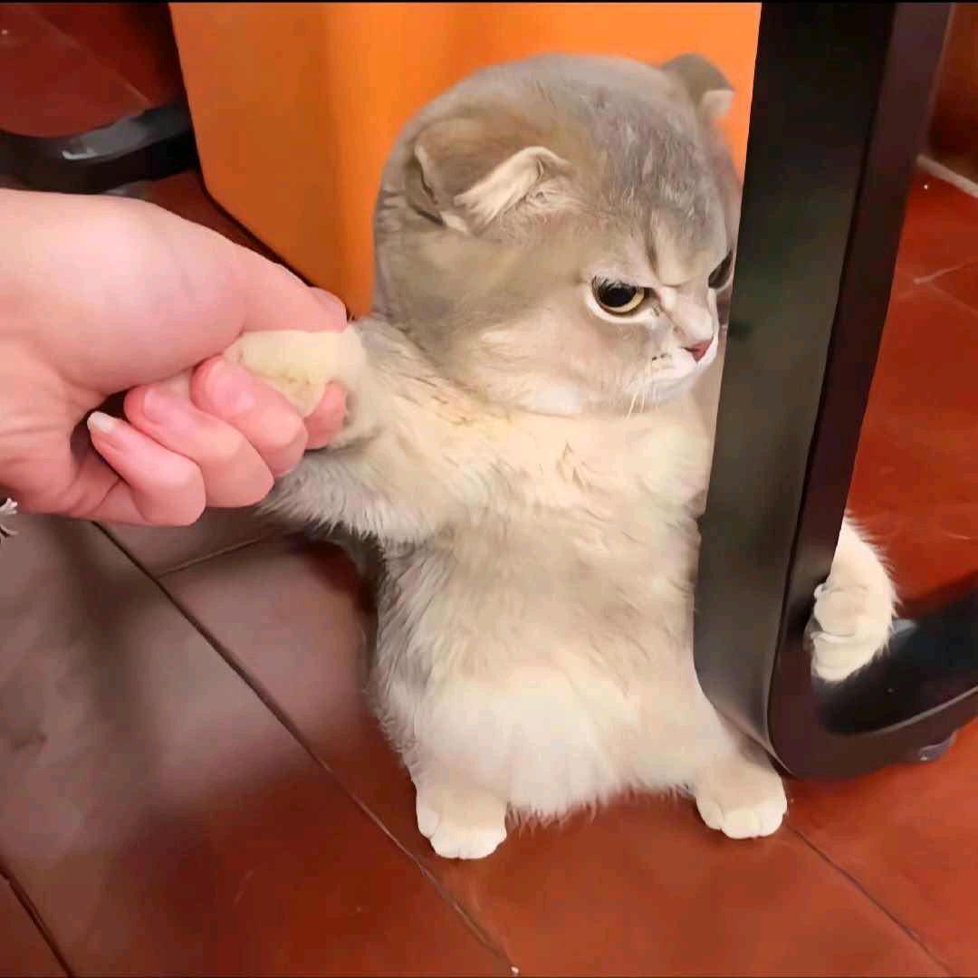 乌鲁木齐的小贠（yùn）