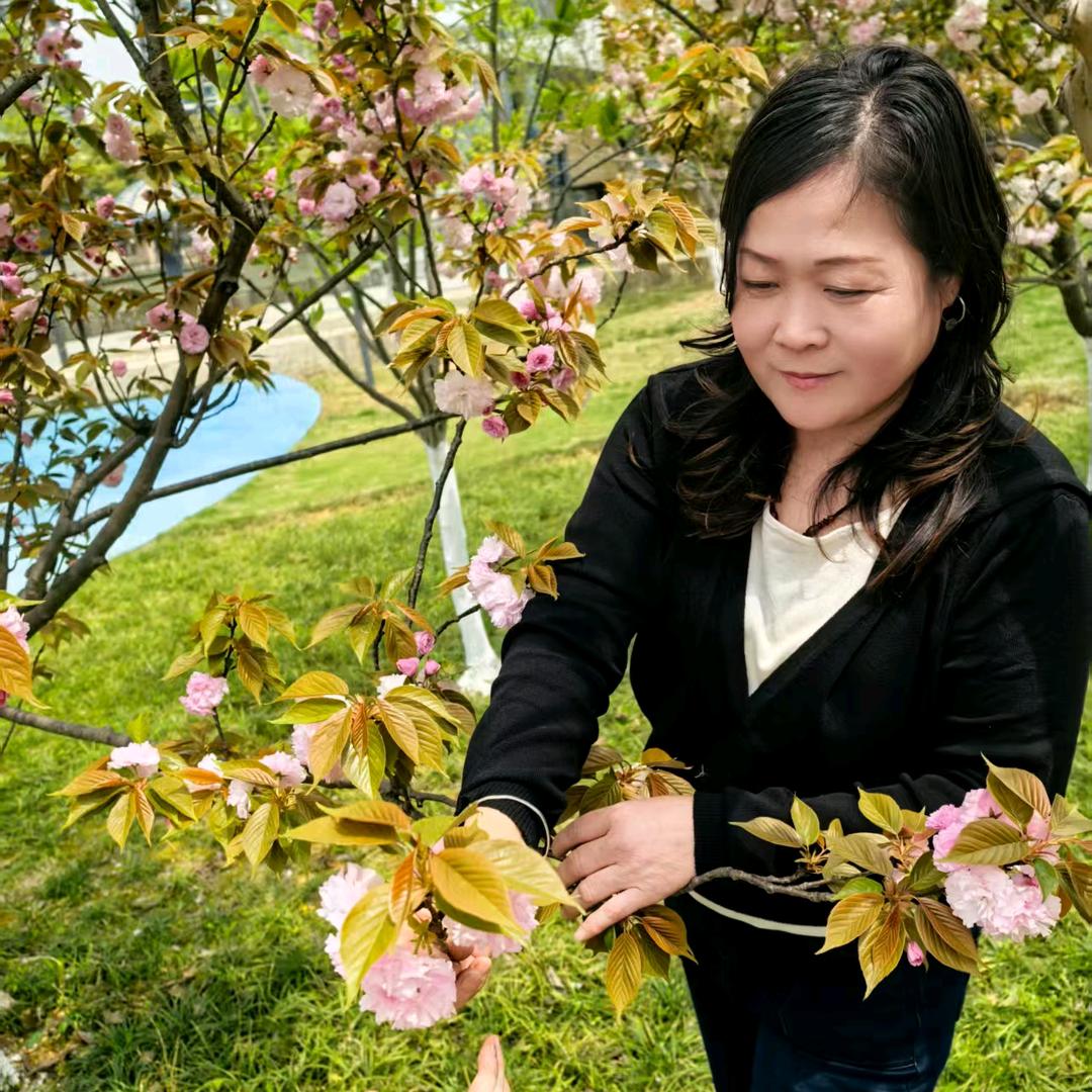 倾郭倾城