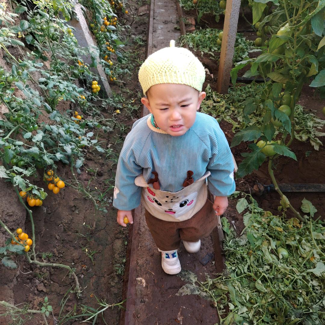 辰宝日记（涨粉中）