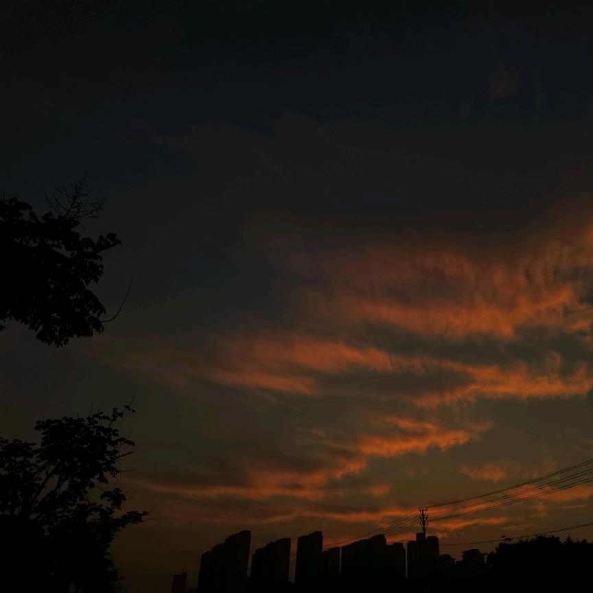 丫丫吖