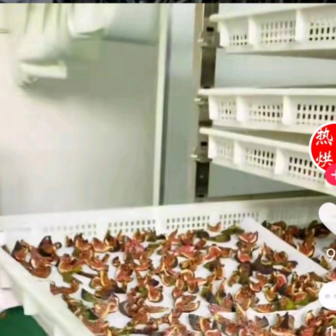 荣成市山井水水果种植园