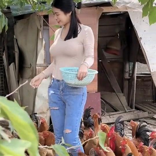 玲妹养殖
