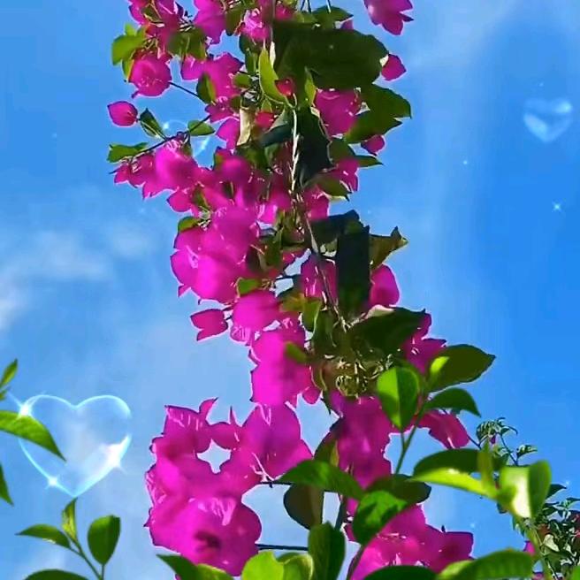 春夏😊