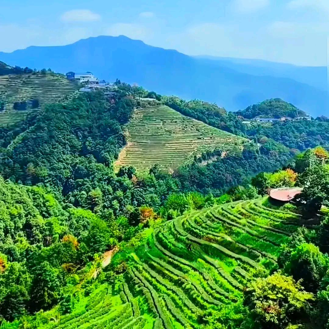 中华