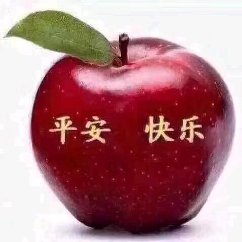 小平家纺设备
