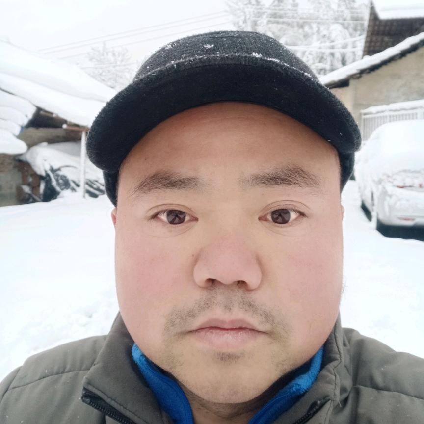 狸花猫的主人（大聪明）
