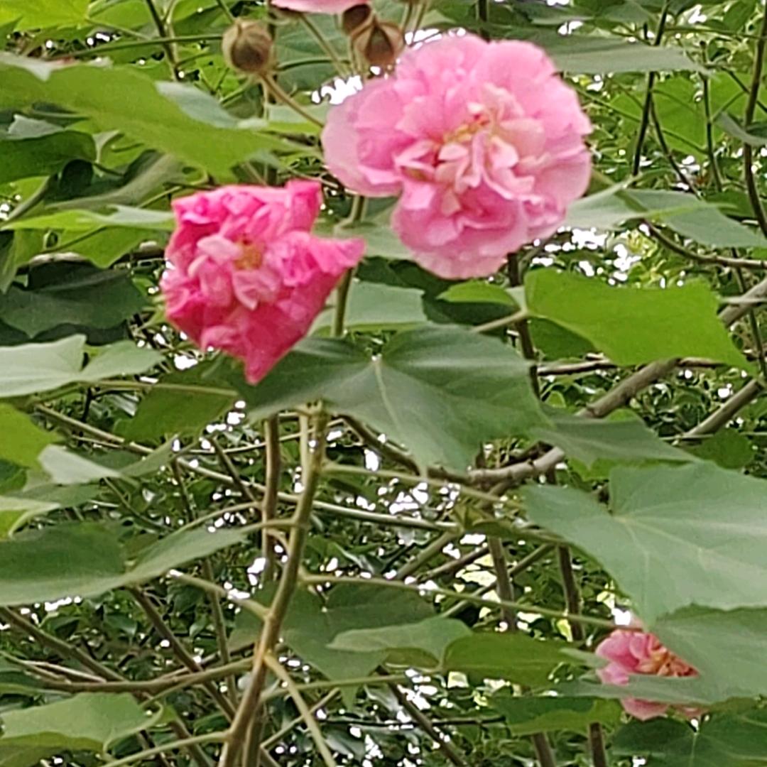 情已欠费，爱已停机