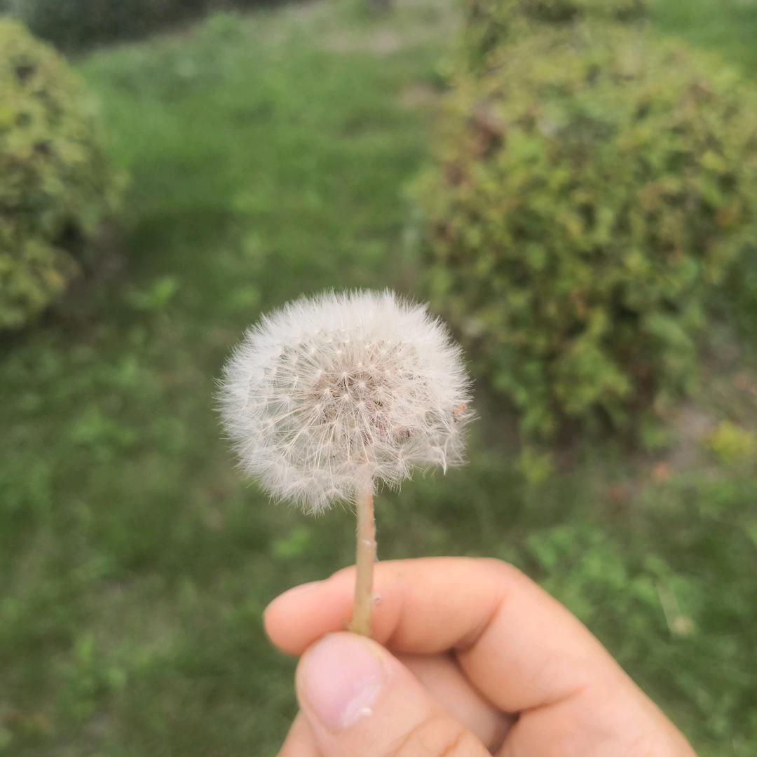 心自由