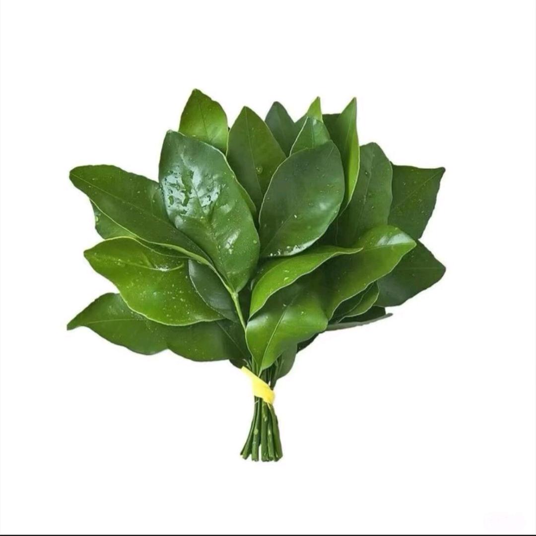 小🐏不爱吃香菜