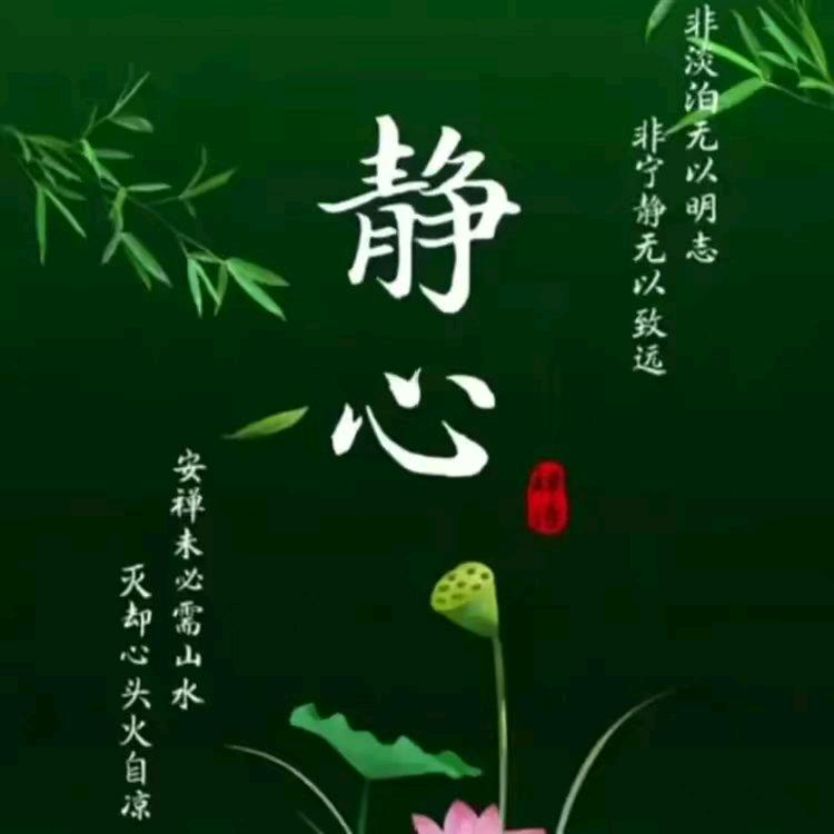 🌹逍遥遇遆🌹