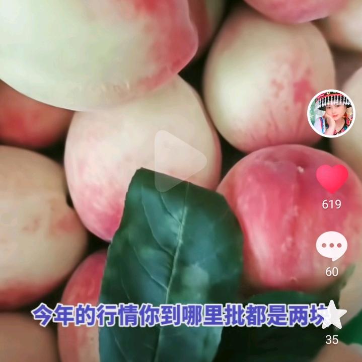 远方的一家人