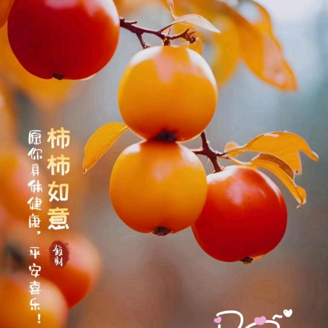 用户418457明天会更好