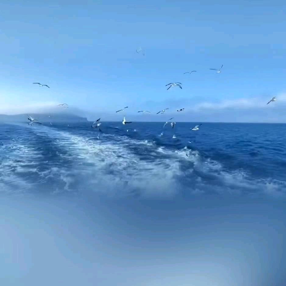 清爽的冰块