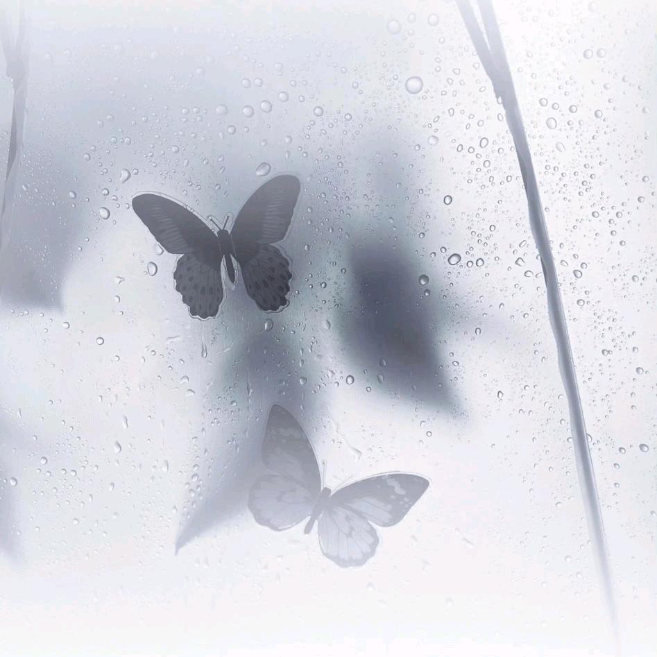 Surprise👑番茄随心👑汤圆公主