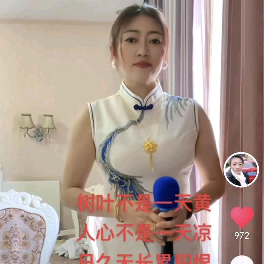 宁彦菁