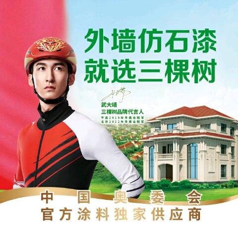 三棵树防石漆，孙丽丽