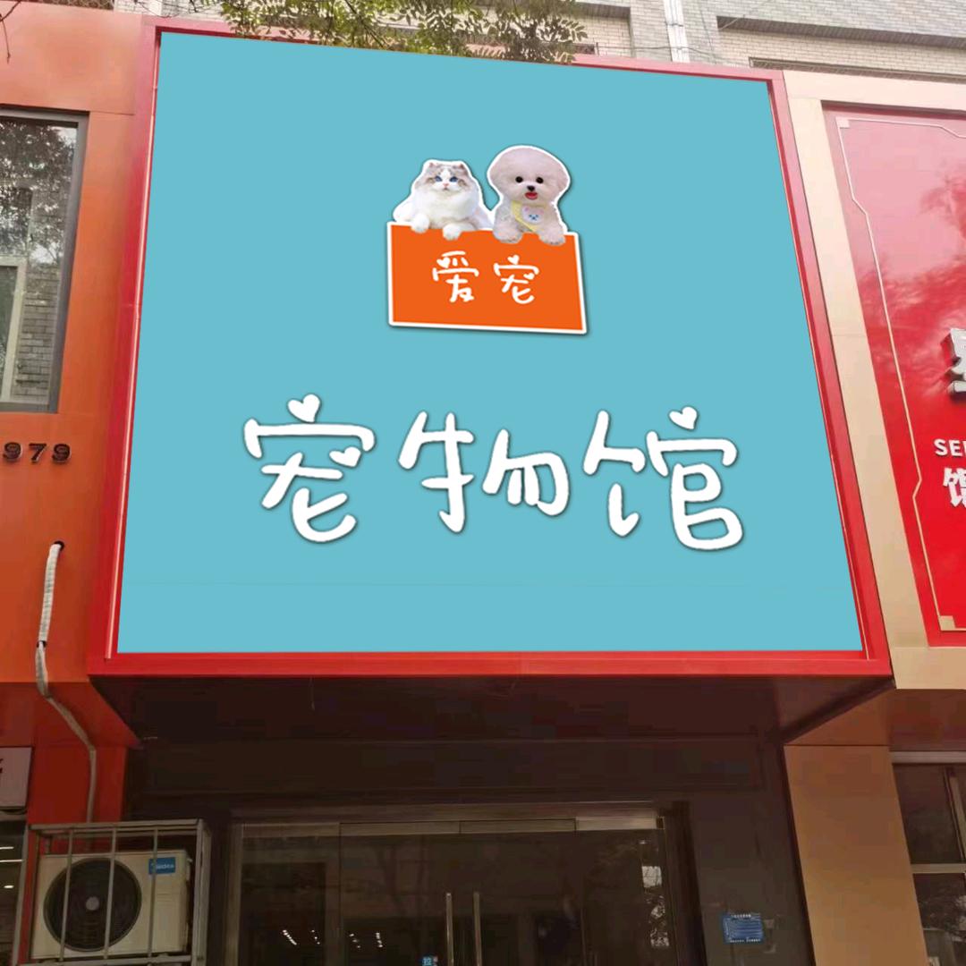 爱宠宠物