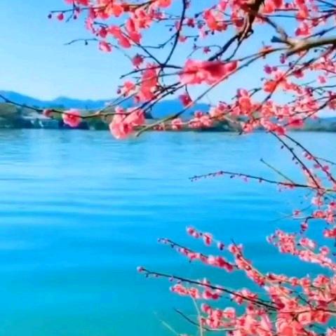 @এ᭄ꦿ꯭ꫛ灯笼꧔ꦿএ᭄不咋亮