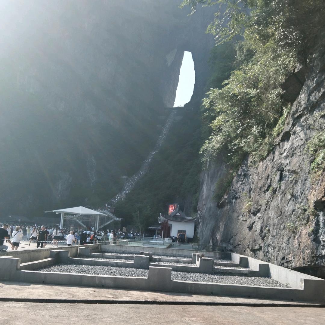 陈义飞