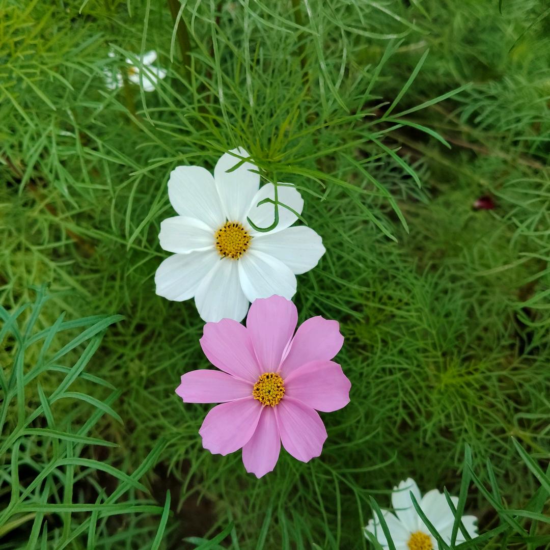 聪 博 泽 💫💫