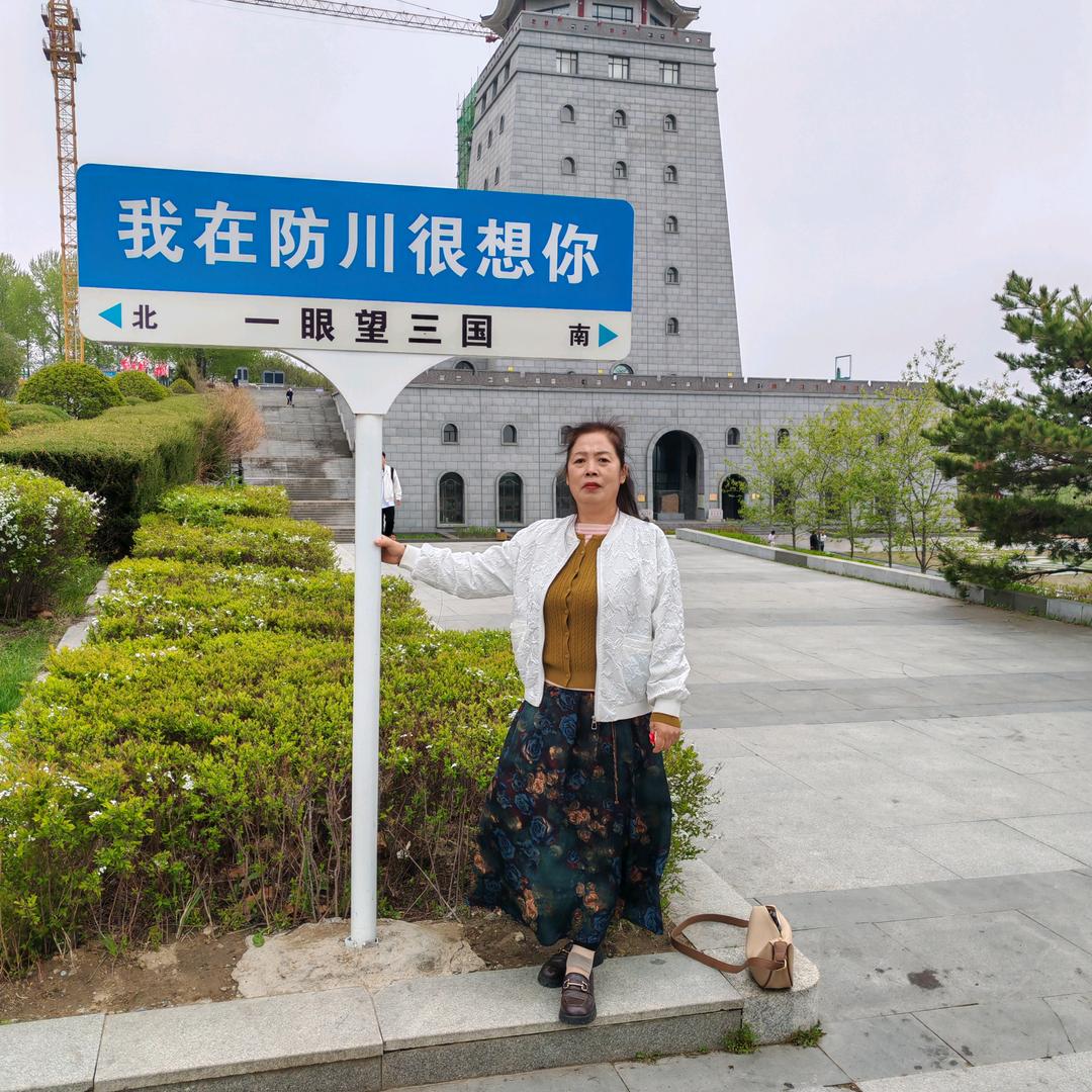 向阳花