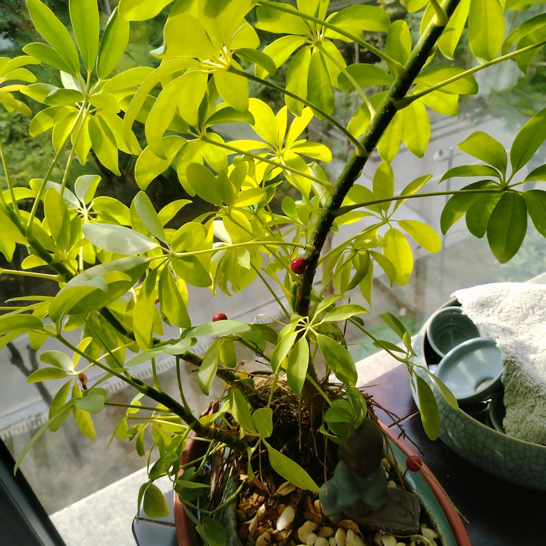 绿水清山