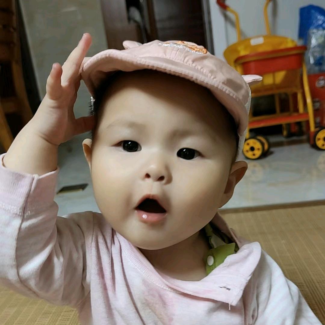 我是土狗我爱看