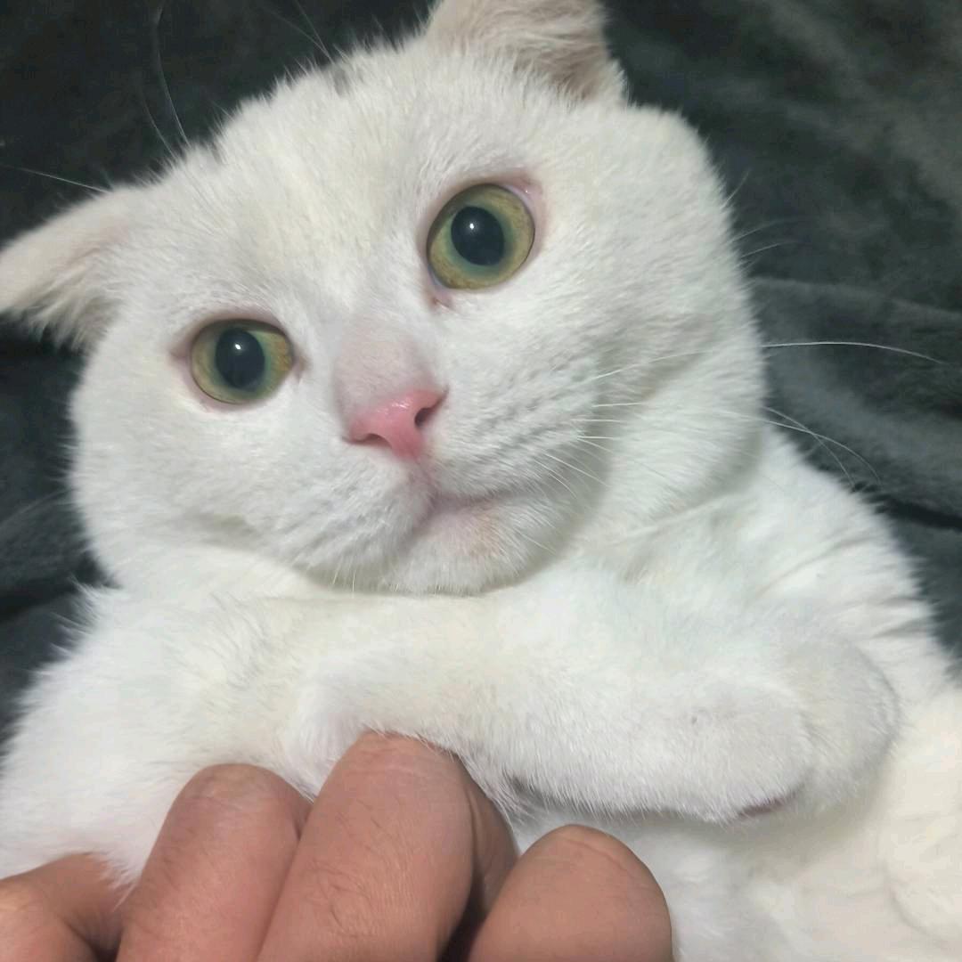 不愿意透露姓名的李先生