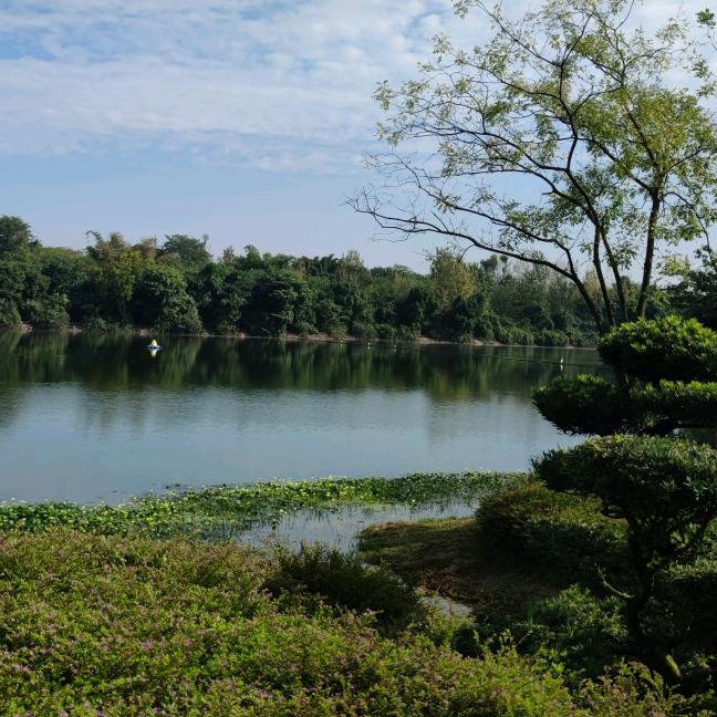 梁山天昊食品孙小强