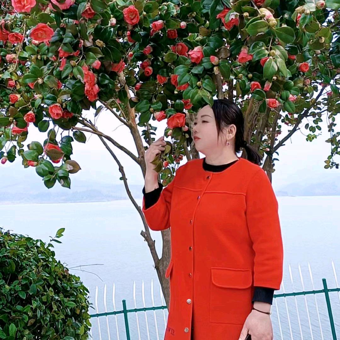 琴姐养生会所