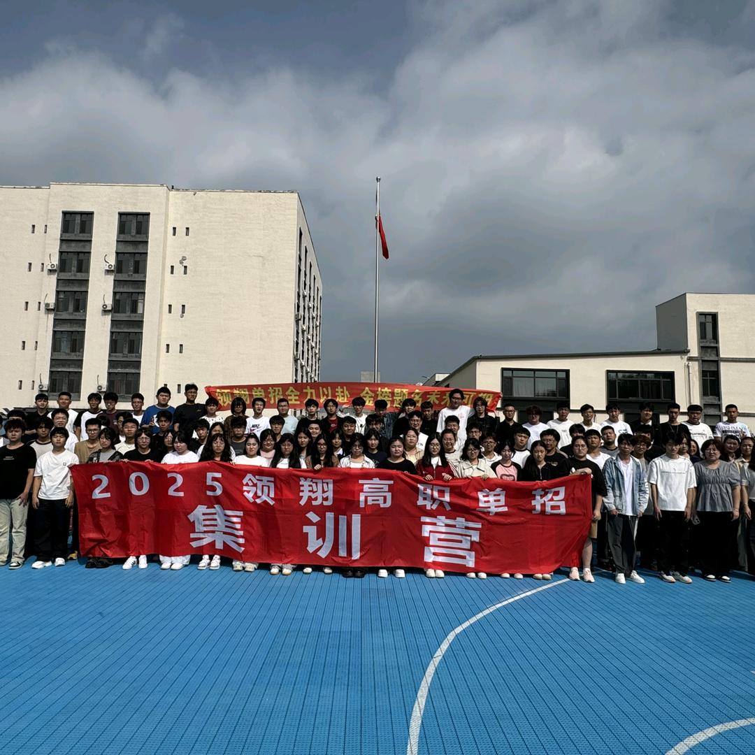 杨老师（领翔单招）