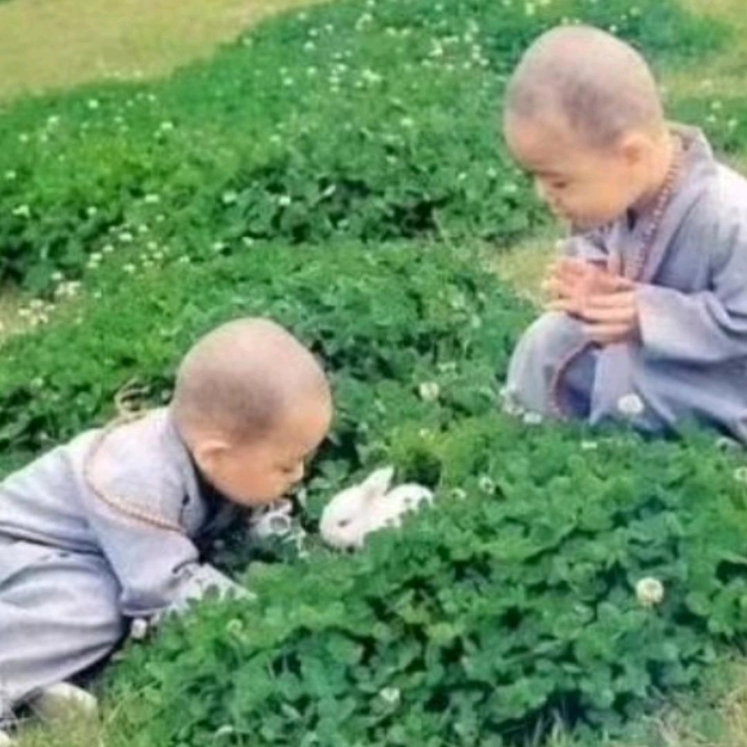 橱窗乐购