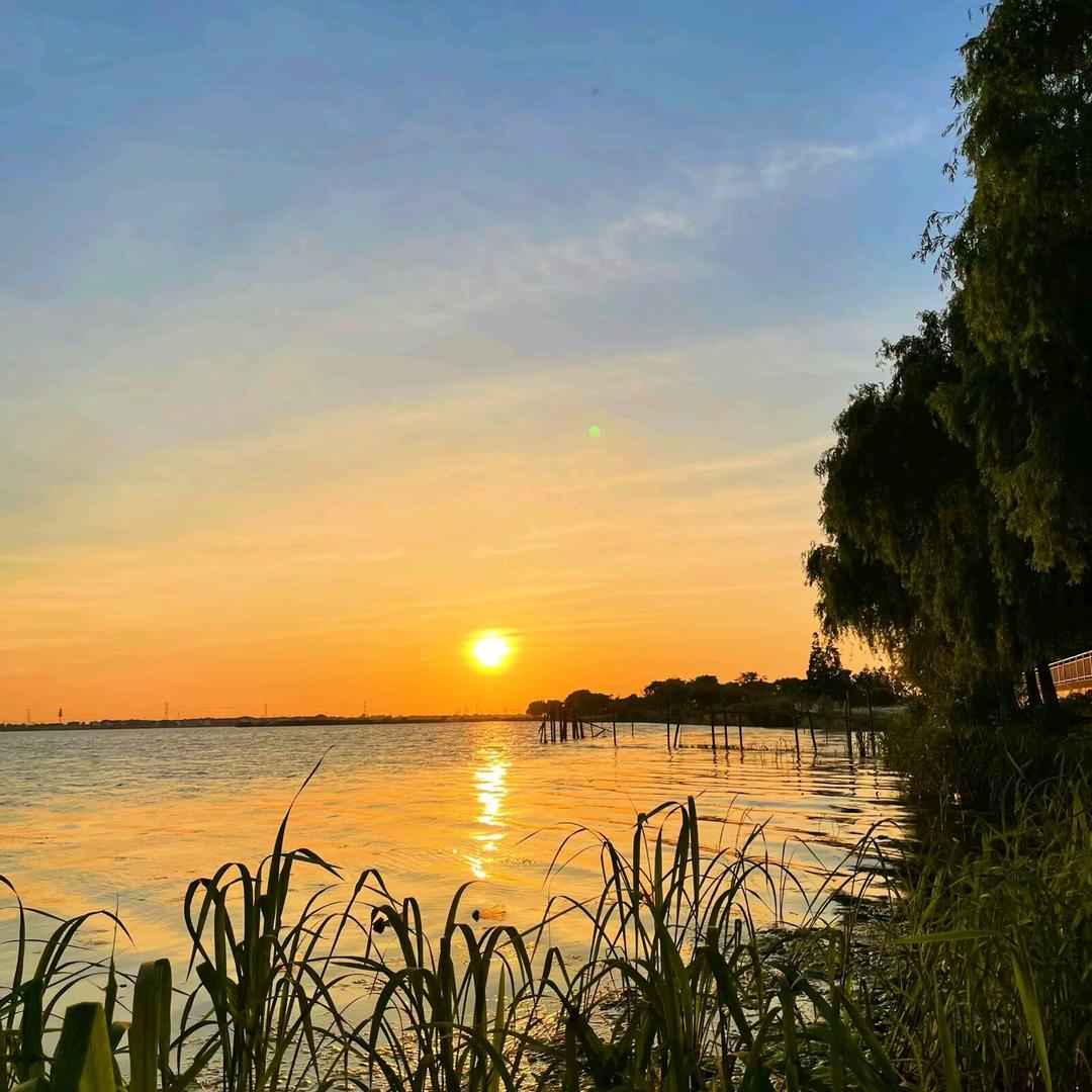 小丽