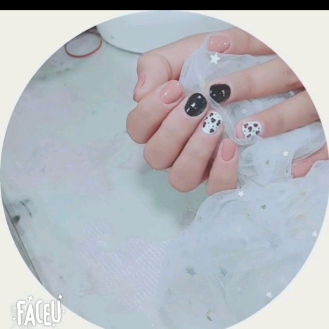 草药味儿の岁月